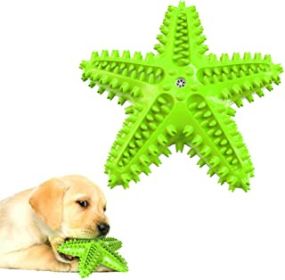 Dog Chew Toys, Natural Rubber Starfish-Shaped Dog Toys, Interactive Treats, Squeaky Dog Toothbrush Cleaner Teething Toys, Outdoor Puzzle Training (Color: Green)